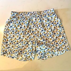 MC2 Saint Barth Mens micro Snow Ducky print Swim Shorts